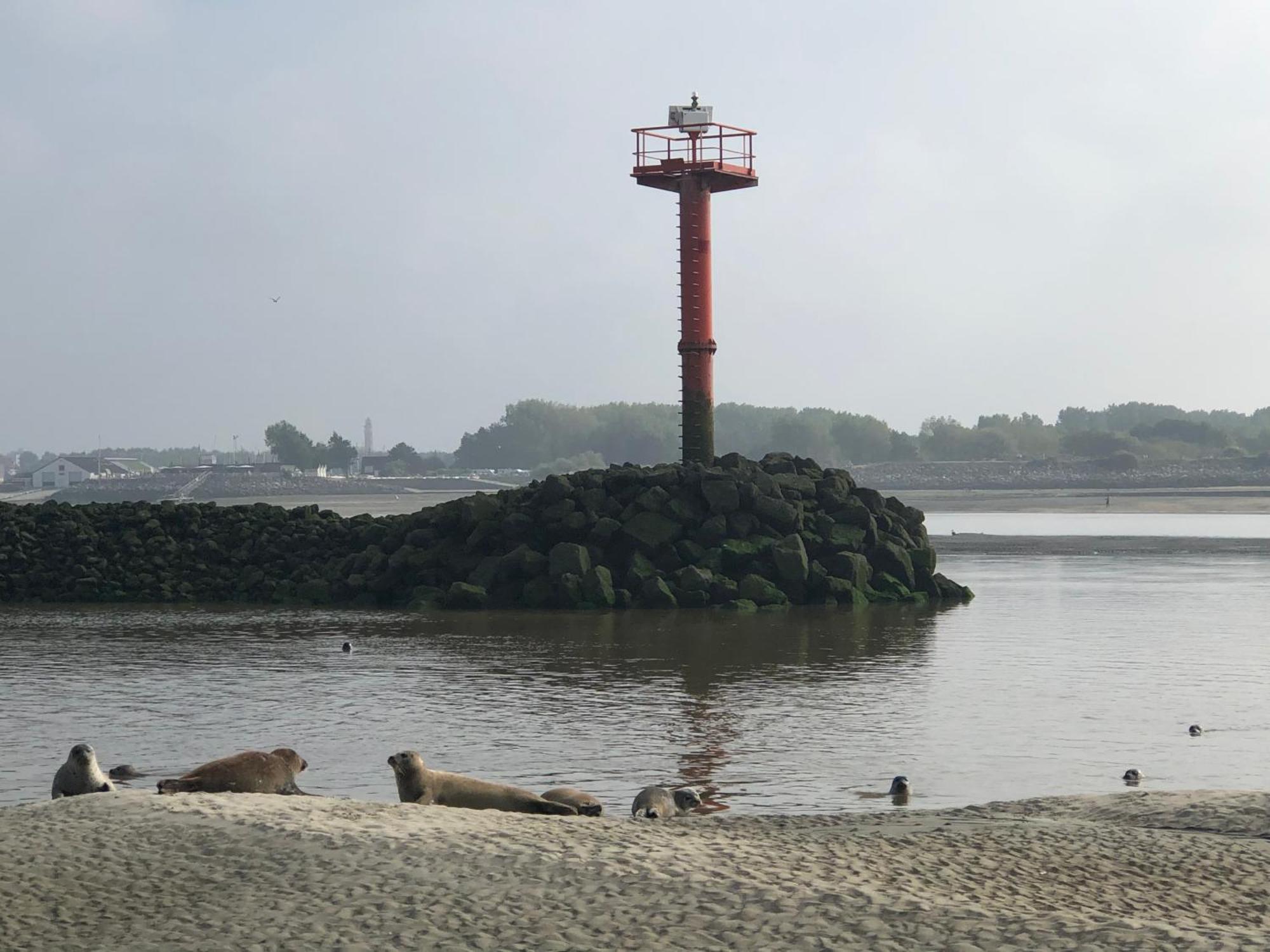 L'Escapade - Hardelot Plage - Parking Prive Нёфшатель-Ардло Экстерьер фото